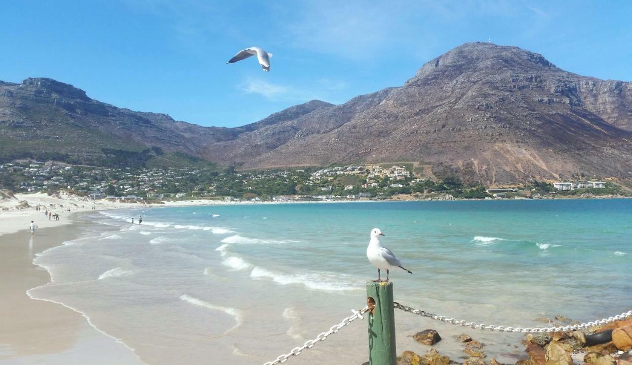 Hout Bay Beach Cottage Ngoại thất bức ảnh